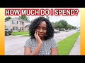 How Much Money Do I Spend on Grocery as a Nigerian Living in Houston Texas USA | DNVlogsLife