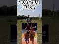Muay Thai elbow #elbow #shortsvideo #kungfu