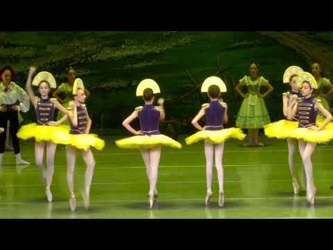 საახალწლო კონცერტი ორ მოქმედებად საკონცერტო პროგრამა და კ.ხაჩატურიანის ბალეტი \"ჩიპოლინო\"