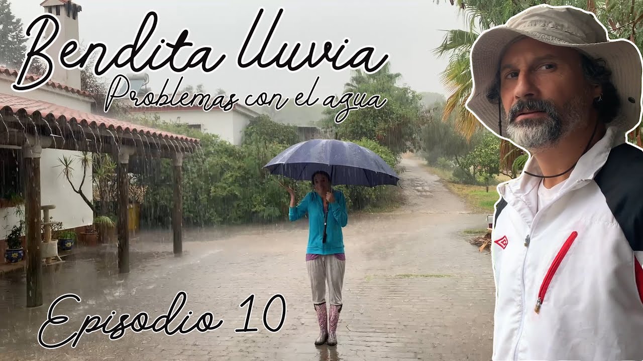 Bendita lluvia sobre el huerto y los frutales. Problemas en el cuarto del sistema fotovoltaico. Ep10