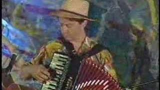 Video thumbnail of "Cafe Accordion Orchestra - Baiao"