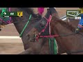 Carrera 08 Jornada 15-05-2026