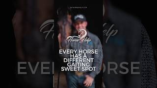 Every Horse Has a Different Gaiting Sweet Spot