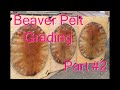 How Beaver Pelts are Graded Complete and detailed Part 2
