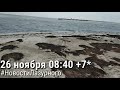 ЛАЗУРНОЕ. 26 ноября утро и пляж. Пансионат Чайка вид на море. Онлайн камера берега.