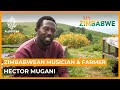 The farmer keeping Zimbabwean music alive, Hector Mugani | My Zimbabwe