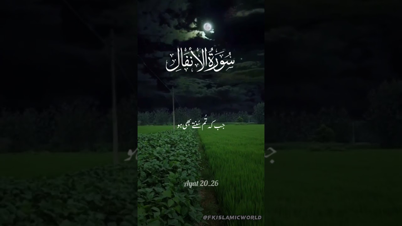 Surat al anfal❤️#quranurdutranslation #islamicvideo #viral #bayan #viralshort #shorts #youtubeshorts