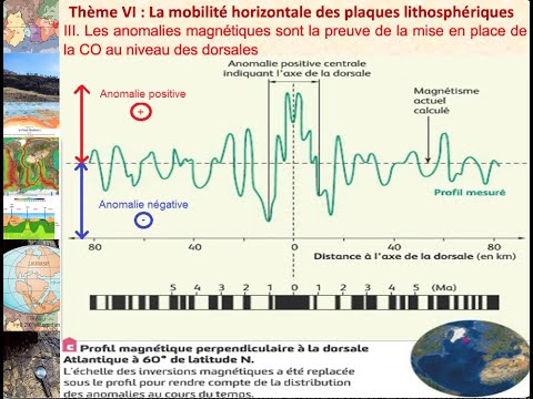 Vidéo: Les Zones De La Terre Présentant Des Anomalies Magnétiques Sont Des Lieux De Stress Accru Sur La Santé Humaine - Vue Alternative