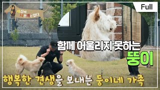 [Full] 세상에 나쁜 개는 없다  못 말리는 사내 전쟁