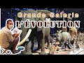 My art vlog  sketch in paris at the grande galerie de lvolution