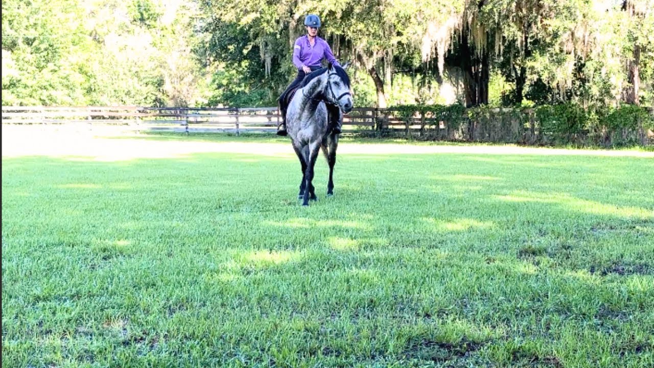 How to Teach Your Horse Leg Yield