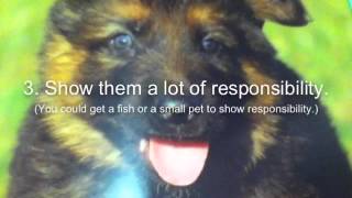 5 ways to get a pet
