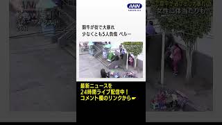 闘牛が街で大暴れ 少なくとも5人負傷　ペルー #shorts