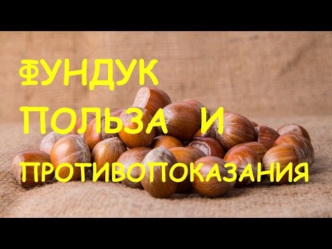 Видео: Есть ли аллергия на лесные орехи?