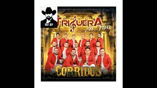El Borracho 》 Banda La Triguera 》》》》》subale El Borracho 》 Banda La Triguera 》》》》》subale