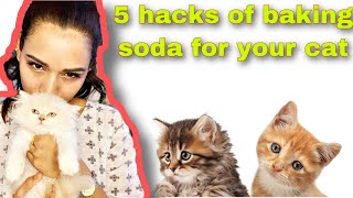 5 hacks for using baking soda for your cat | cat fleas treatment |cat litter smell |#persiancat