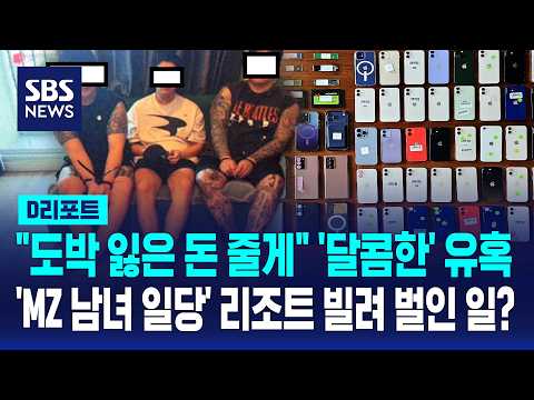 공공기관 사칭 태국 거점 '노쇼 사기' 조직 검거 / SBS / #D리포트
