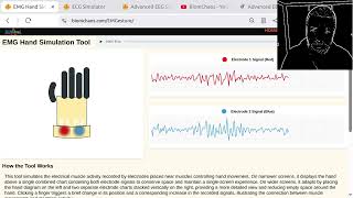 Building Realistic EEG & EMG Simulations with AI: Stochastic Signal Processing