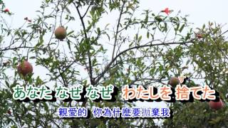 01-034  夢追い酒***森昌子  音緣 43414   金嗓 40316