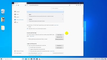 Mozilla Firefox (Remember History, Never remember history)