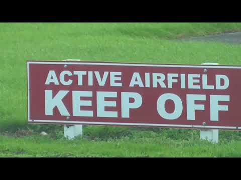 Why is this in my Lawn?