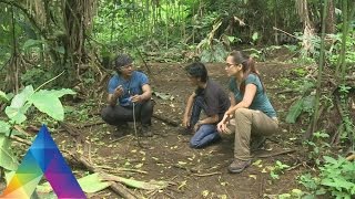 BERBURU - MONITORING BAGAIMANA ULAR MAKAN (29/3/16) 3-1
