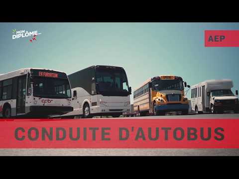 Vidéo: Notes Sur La Conduite D'autobus Palestiniens - Réseau Matador