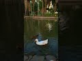 Conóces este lugar?Es el Jardín Botánico Benjamin Francis Johnston ubicado en Los Mochis Sinaloa🇲🇽
