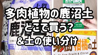 鹿沼土を買うサイトと私の土の使い分【多肉植物】