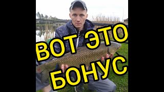 видео: Вот это БОНУС !!! Рыбалка в Минской области, рыбалка Беларусь, рыбалка на карпа 2021,на белого амура картинка: Вот это БОНУС !!! Рыбалка в Минской области, рыбалка Беларусь, рыбалка на карпа 2021,на белого амура