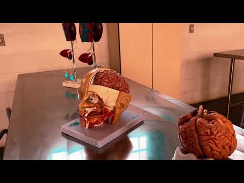 Conheça as Clínicas e Laboratórios da Faculdade Anhanguera de Piracicaba.