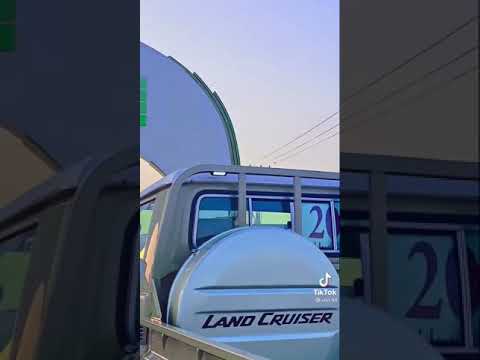 يالبيه ياشاص مدينة بيش السعوديه