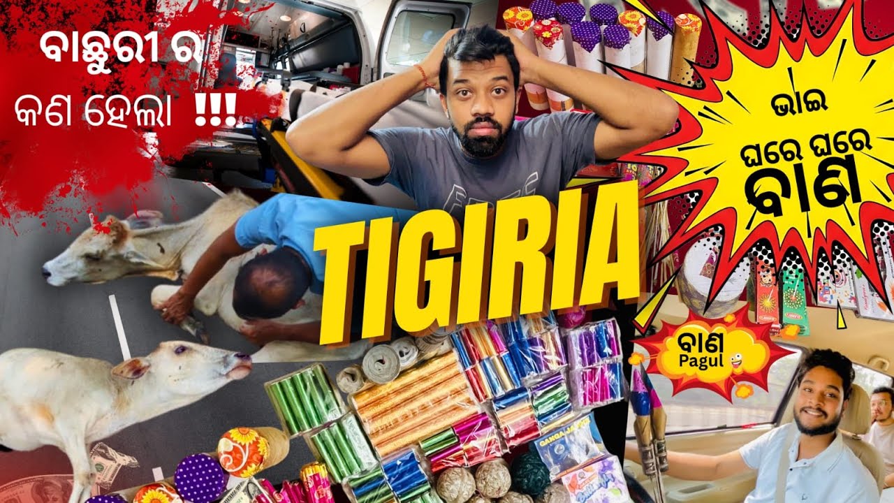 Tigiria ru asila ବାଣ ୲ || Bhai 180 ରେ short . || Nishi Unfiltered