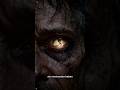 Sie gingen mit ihm… und erkannten ihn nicht.#Bible #Mystery #Unexplained #Faith #Dark