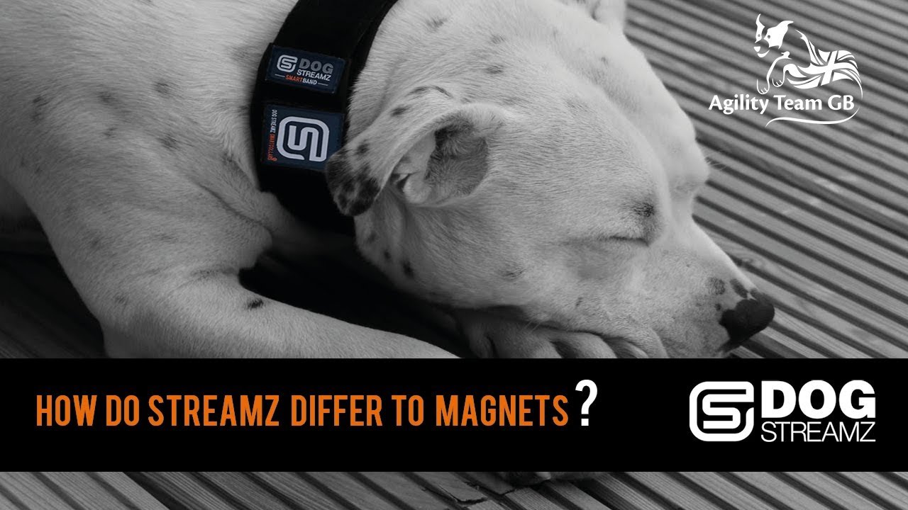 streamz collar