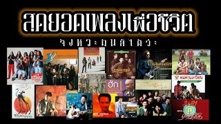 รวมเพลงเพื่อชีวิต จังหวะดีดี ชุด1