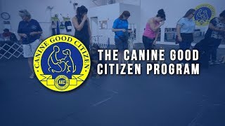 AKC CGC Program  Why Canine Good Citizen (CGC)?