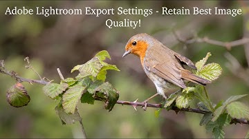 Best Export Settings - Adobe Lightroom Classic