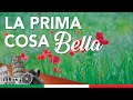 La prima cosa bella canzone originale con testo