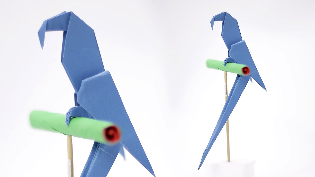 Origami Macaw Parrot How to fold YouTube