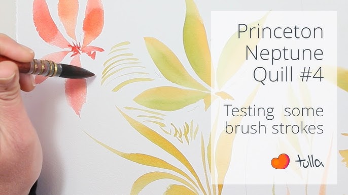 Princeton Aqua Elite Brush Review - Doodlewash®