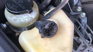 05 Lexus ES330 Overheating, Recovery Tank Cap melted