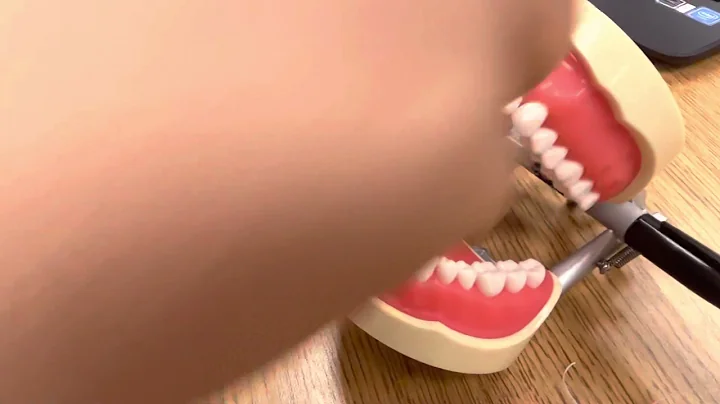 my brushing and flossing!