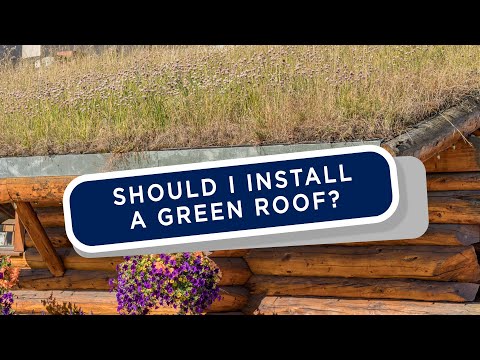 Charlie Luxton | We need to talk about Green Roofs | Homebuilding