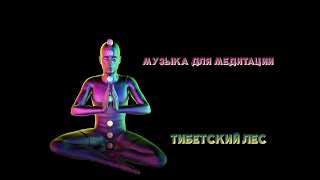 Музыка для медитации  Тибетский лес