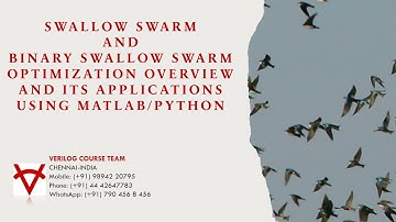 SWALLOW SWARM AND BINARY SWALLOW SWARM OPTIMIZATION OVERVIEW & ITS APPLICATIONS USING MATLAB-PYTHON
