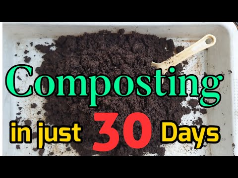 सिर्फ़ 30 दिन में बनेगी और फूलों की बरसात भी होगी 🤩 Easy Way Composting👍