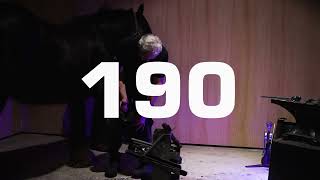 190 YEARS TRAILER