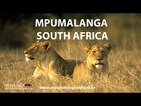 فيديو: كهوف سودوالا ، جنوب إفريقيا: الدليل الكامل