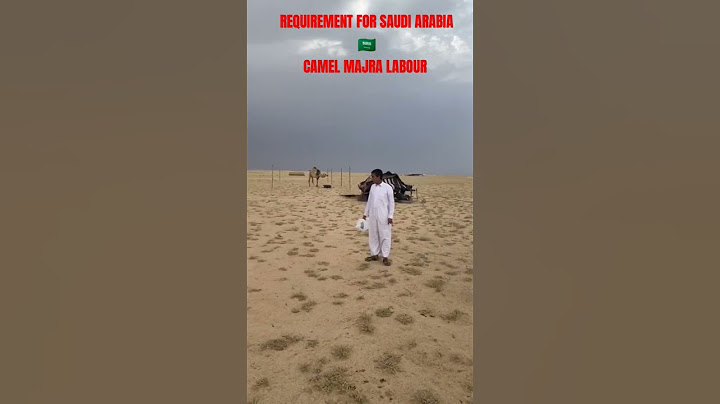 CAMEL majra labour part 2 #saudi #jobs #ksajobs #camel_majra_Labour